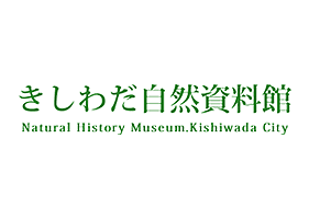 きしわだ自然資料館