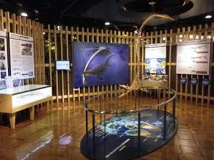 きしわだ自然資料館