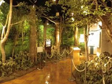 きしわだ自然資料館