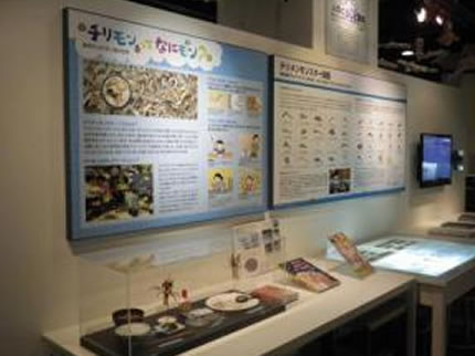 きしわだ自然資料館