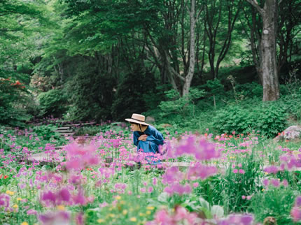 六甲高山植物園