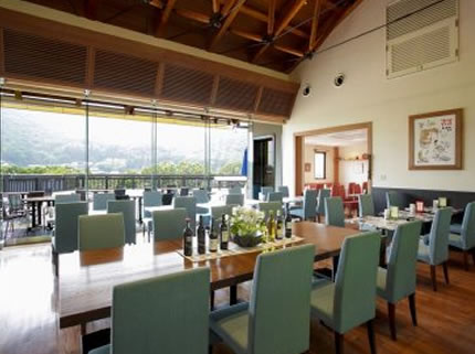 兵庫陶芸美術館