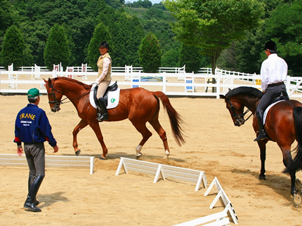  ニッケ乗馬クラブ・クレイン加古川