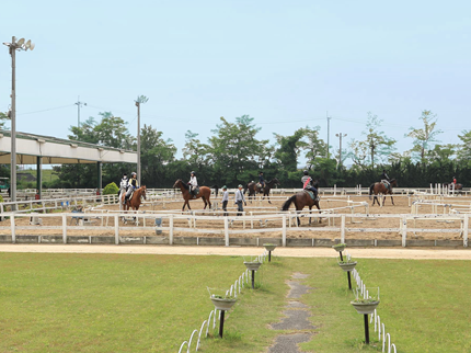  ニッケ乗馬クラブ・クレイン加古川