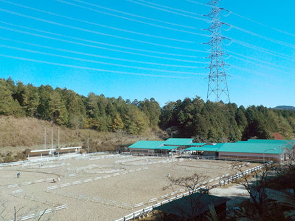  乗馬クラブクレイン北大阪