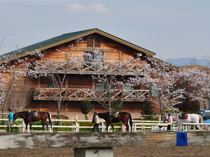  乗馬クラブクレイン大阪