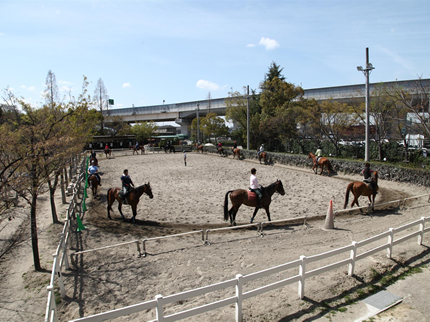  乗馬クラブクレイン大阪