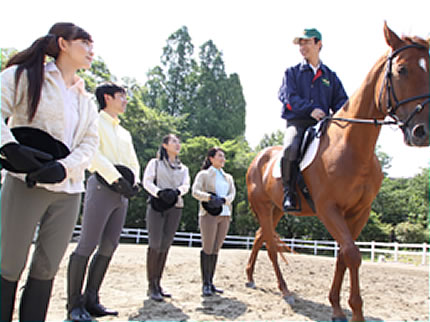  服部緑地乗馬センター